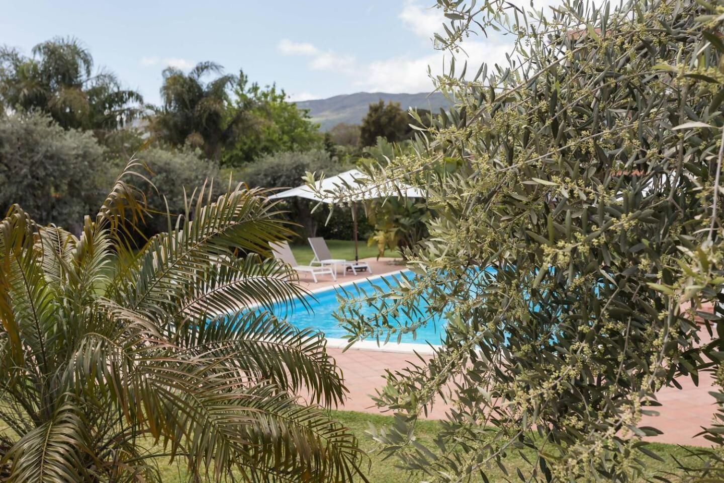 Villa Ginevra Санта-Венерина Экстерьер фото